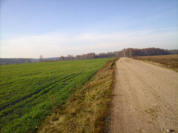  - Краявіды . 
