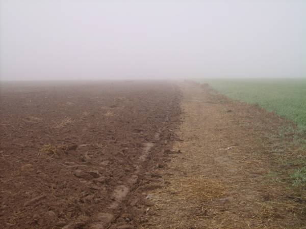 - Краявіды . 