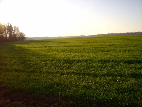  - Краявіды . 