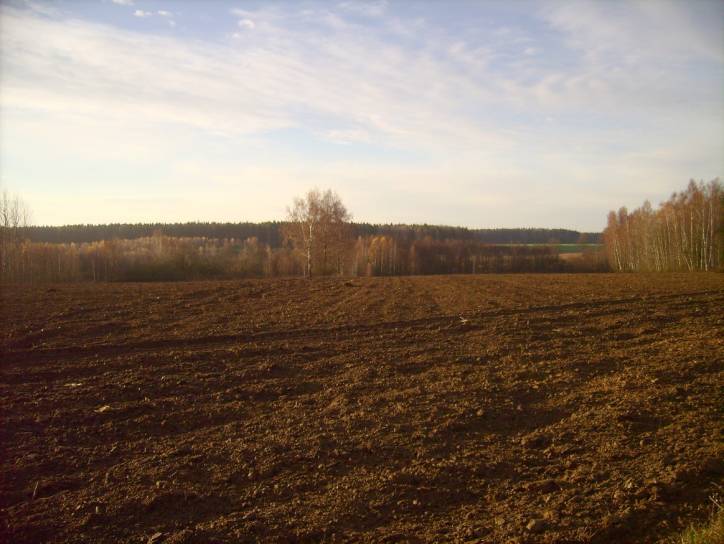  - Краявіды . 
