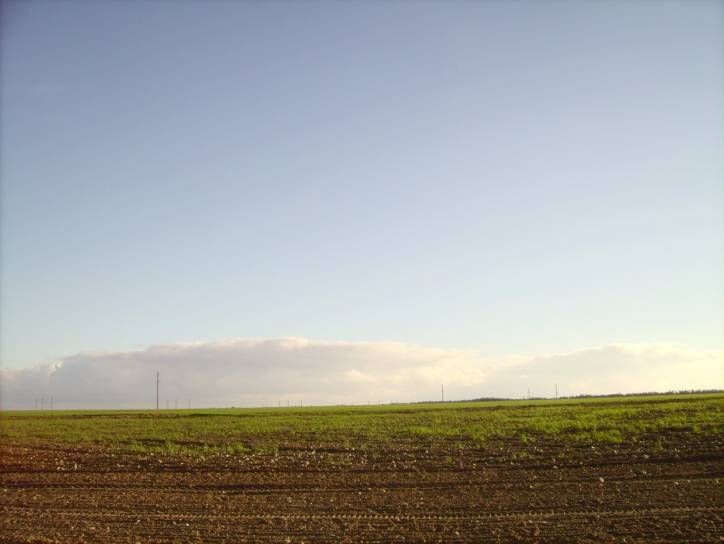  - Краявіды . 