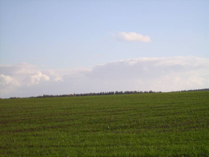  - Краявіды . 