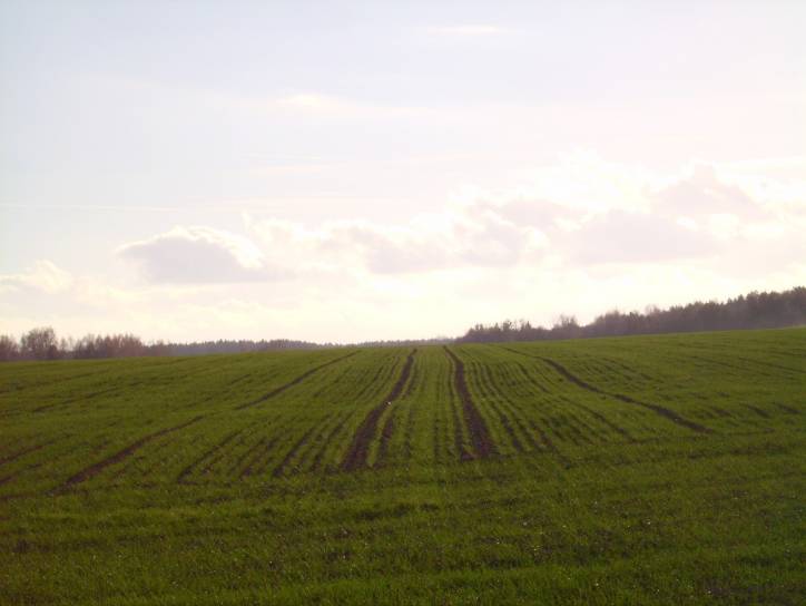  - Краявіды . 