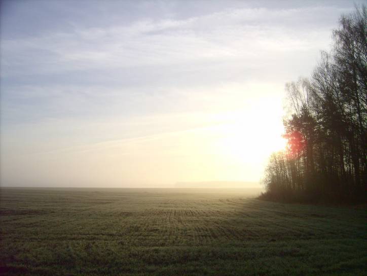  - Краявіды . 