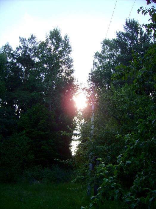  - Краявіды . 