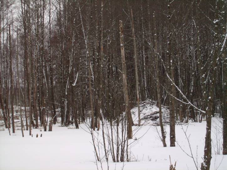  - Краявіды . 