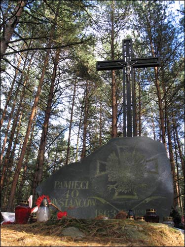   Grób powstańców styczniowych (wieś Miniewicze). Grób powstańców styczniowych