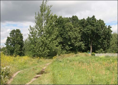  - Краявіды . Прысада каля фальварку (08.2008)