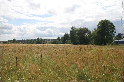  - Краявіды . Поле ў ваколіцах вёскі (08.2008)