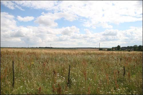  - Краявіды . Поле ў ваколіцах вёскі (08.2008)
