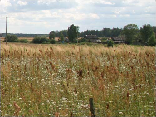  - Краявіды . Погляд на вёску ад былога фальварку (08.2008)