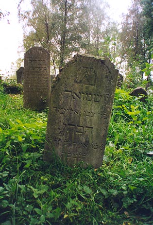 Krzyczew |  Cmentarz żydowski. Kamienie nagrobne