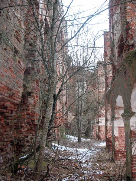 Viałaje (Rudnia) |  Estate of Tyszkiewicz. Ruins of the palace