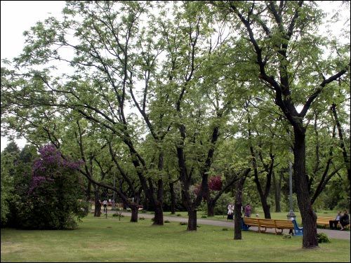 Mińsk |   Sad botaniczny. Park