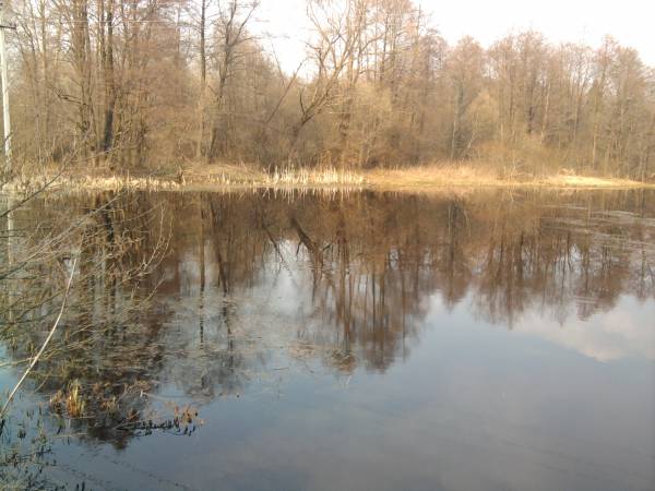  - Краявіды . 