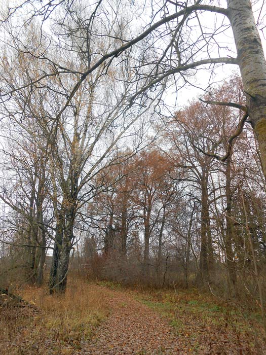 Задвор'е. Сядзіба Кавалеўшчына