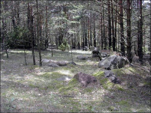 Biruli. Site of ancient settlement Swedish Mount