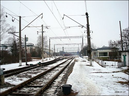  - Краявіды . 
