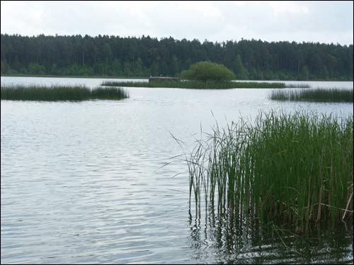 Набережная (Воньки). Пейзажи 