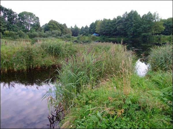  - Landscapes . The lake. View from the east side. Summer 2009