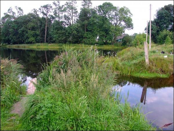  - Landscapes . The lake. View from the north-western side. Summer 2009