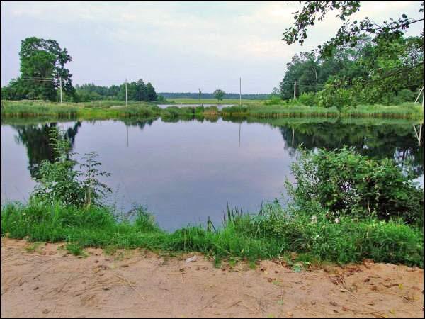  - Landscapes . The lake. View from the west side. Summer 2009