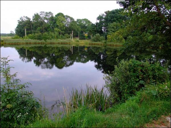  - Landscapes . The lake. View from the north-western side. Summer 2009
