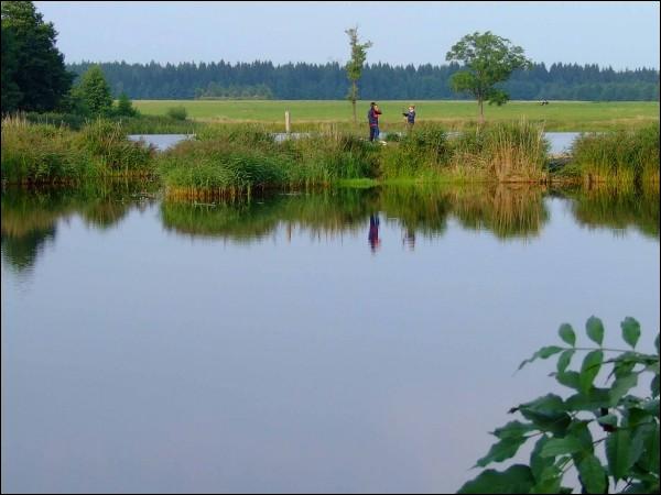  - Landscapes . The lake. View from the west side. Summer 2009