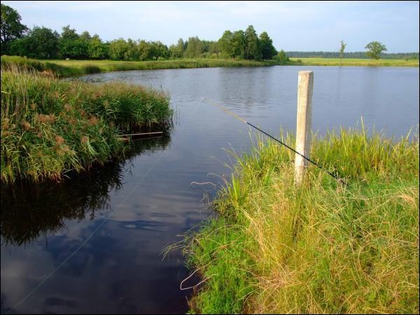  - Landscapes . The lake. View from the south-west side. Summer 2009