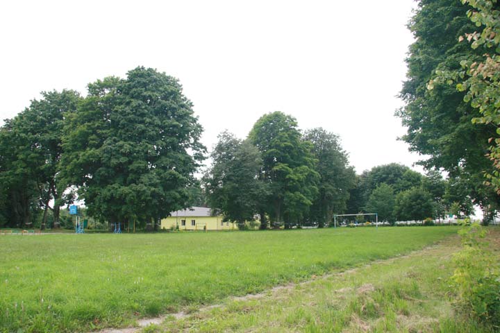  - Manor park of Magnuszewski. Fragment of the park