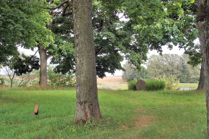  - Manor park of Magnuszewski. In the park