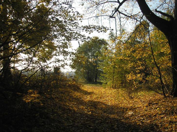  - Приусадебный парк при бывшей усадьбе Троекуровых-Лещинских. 