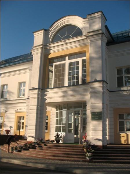 Albrechtova (Pinsk). Manor of Skirmunt