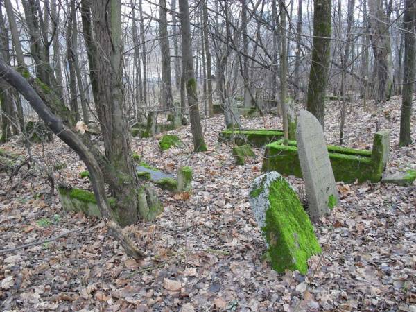  - cemetery Old jewish. 