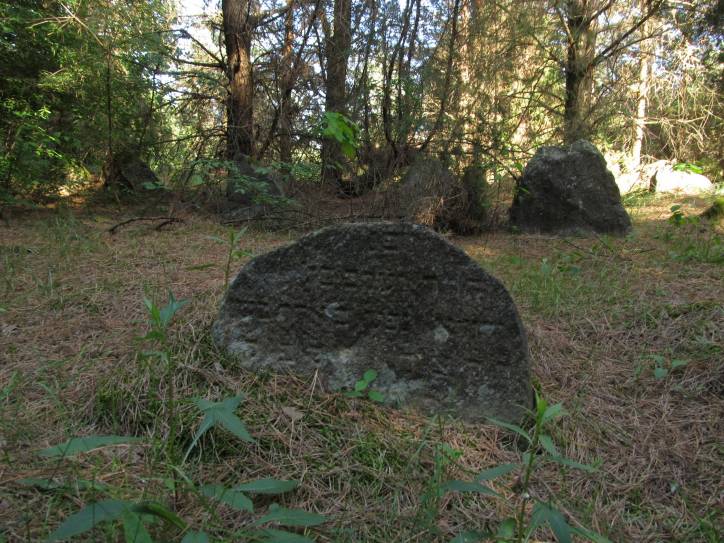 Łyskava. cemetery Jewish