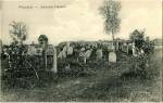 Pružany town - cemetery Jewish