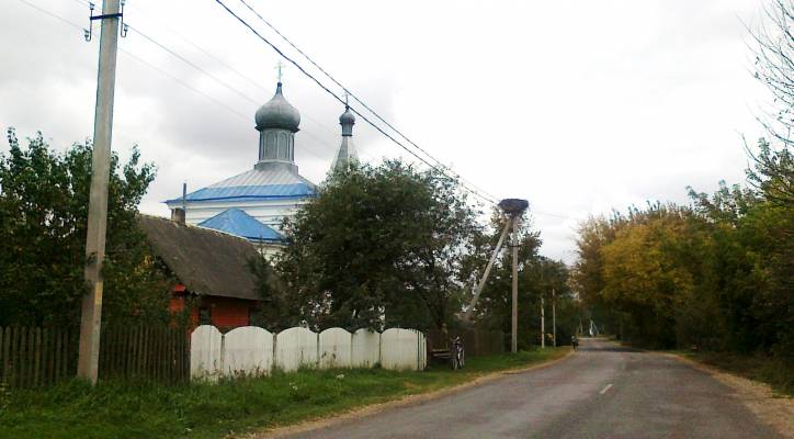 Rudniki. In the village 
