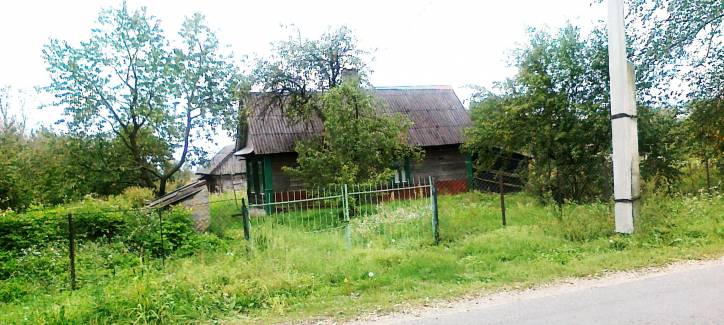 Rudniki. In the village 