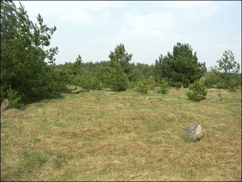 Różana. Cmentarz żydowski
