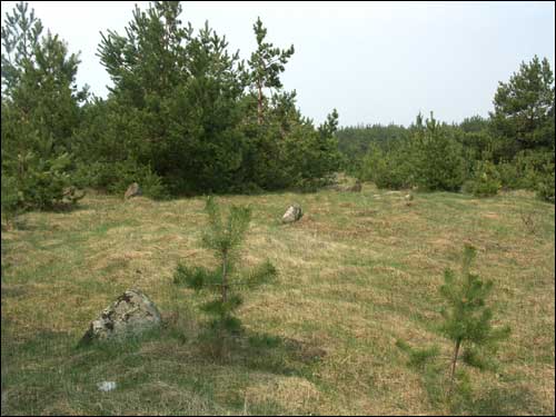 Różana. Cmentarz żydowski