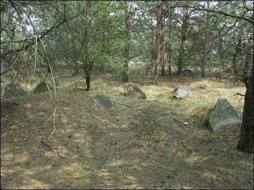 Różana. Cmentarz żydowski