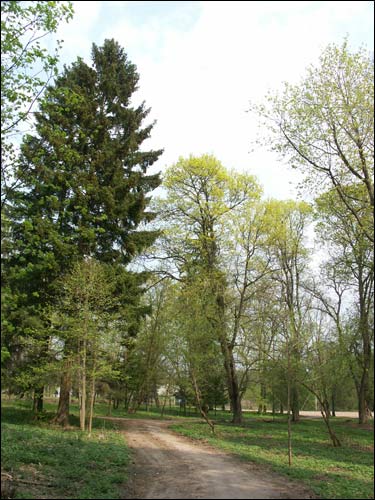 Zielanievičy. Manor 