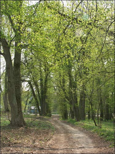 Zielanievičy. Manor 