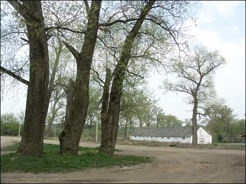 Zielanievičy. Manor 
