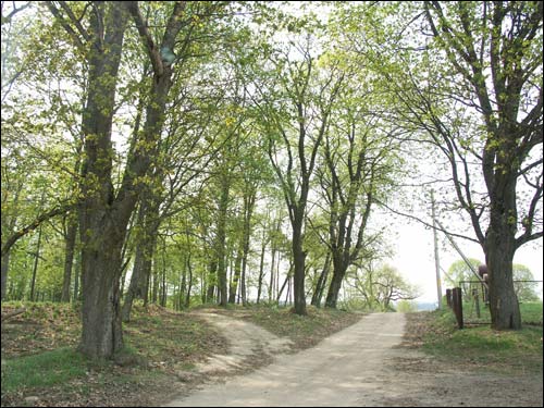 Zielanievičy. Manor 