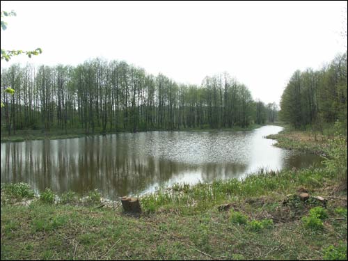 Zielanievičy. Manor 