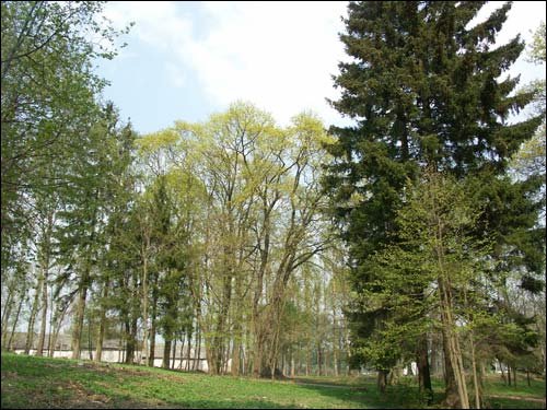 Zielanievičy. Manor 