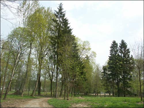 Zielanievičy. Manor 