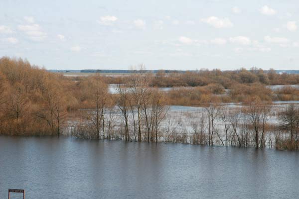 Столін. Прысядзібны парк «Маньковічы»