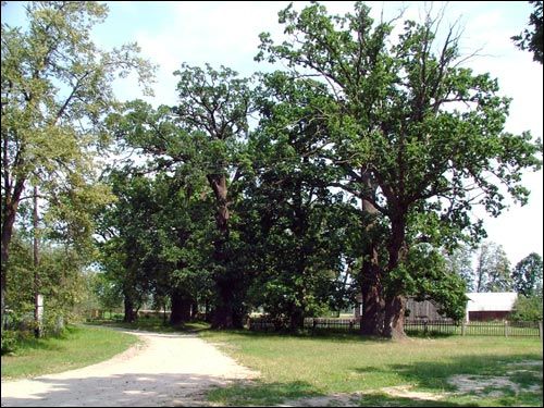 Zdzitava. Landscapes 